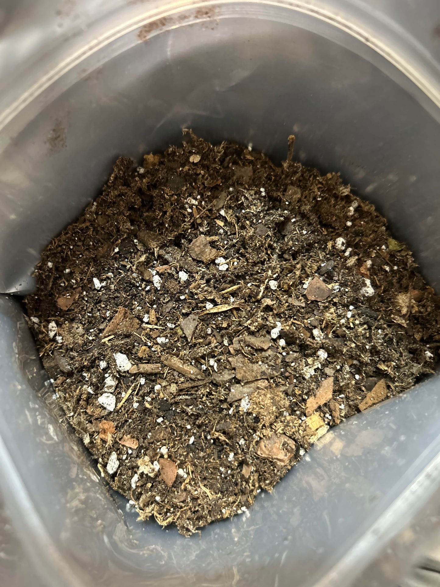 Substrate Plus