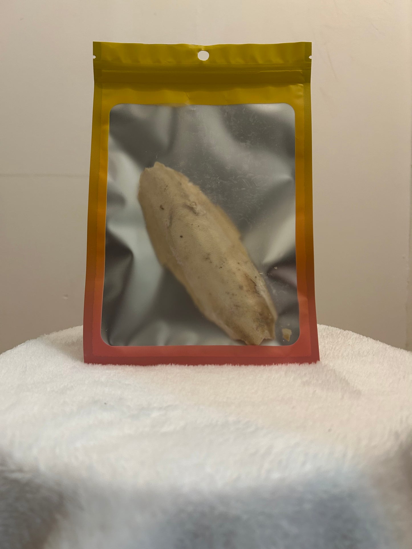Cuttlefish bone 1 count