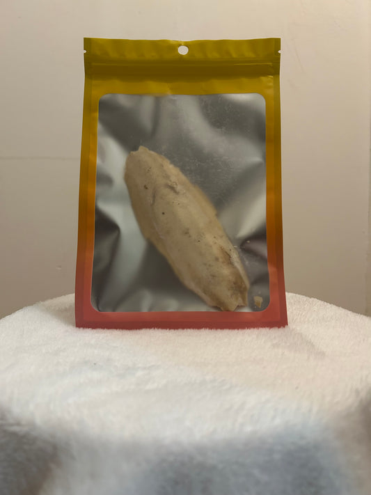 Cuttlefish bone 1 count